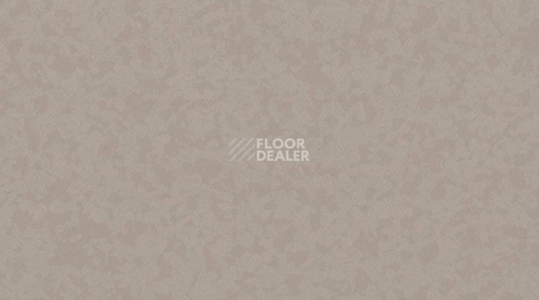 Линолеум Taralay Premium Compact Osmoz 4350 ELEFANT фото 1 | FLOORDEALER